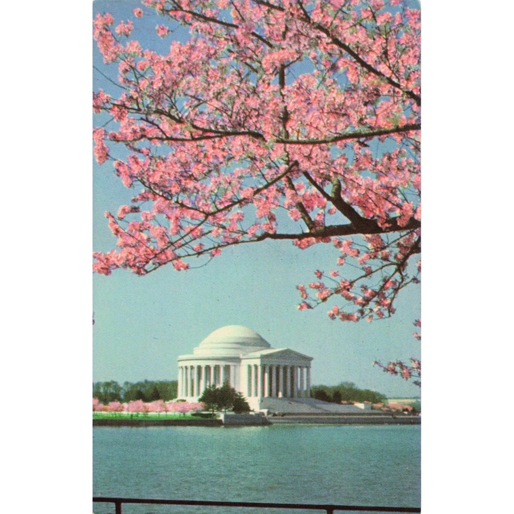 Vintage Jefferson Memorial Washington DC Cherry Blossoms Postcard PE-14 VG+